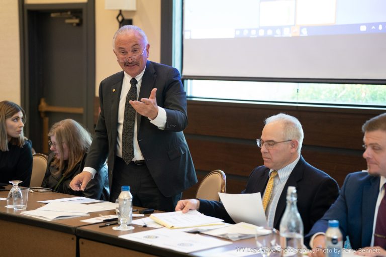 INTERIM REPORT: Joint Finance