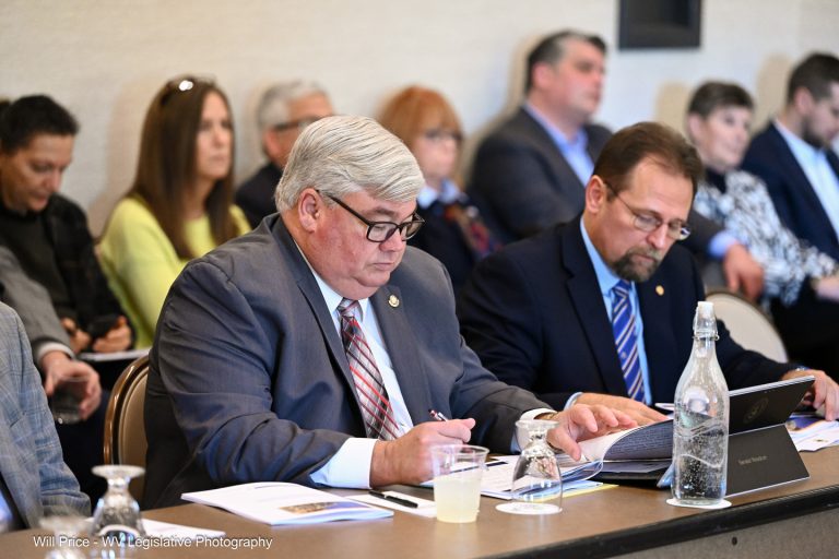Interim Report: Government Organization