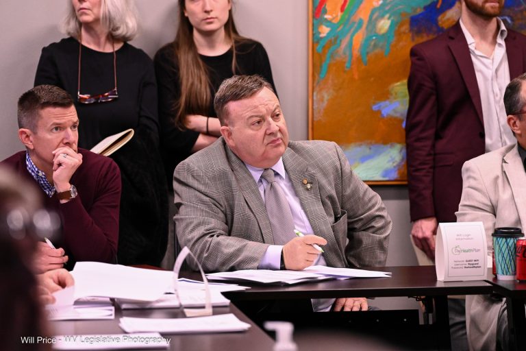 Interim Report: Joint Committee on Health
