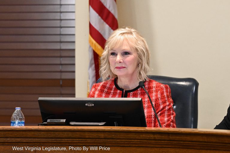 Interim Report: Joint Committee on Children and Families
