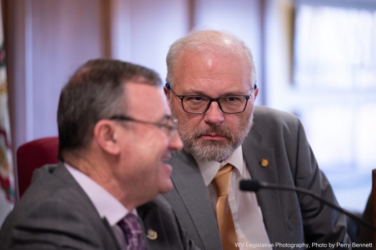 Interim Report: Joint Committee on Economic Development