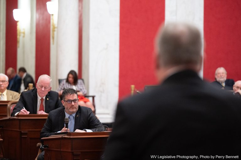 Interim Report: Joint Committee on Technology and Infrastructure