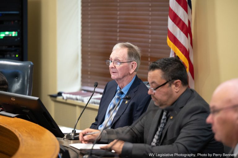 Interim Report: Joint Committee on Flooding