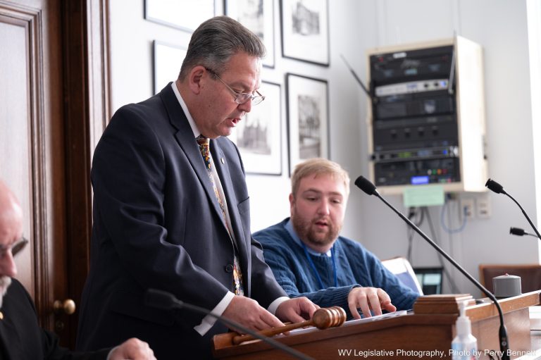 Interim Report: Parks, Recreation and Natural Resources
