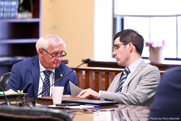 House Health Advances Fourteen Rules Bills