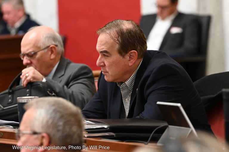 Interim Report: Committee on Judiciary