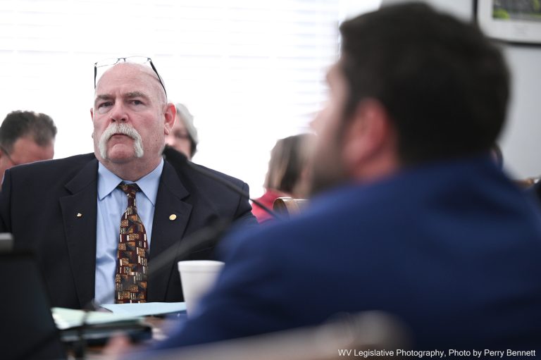 House Judiciary Discusses Age Verification Bill