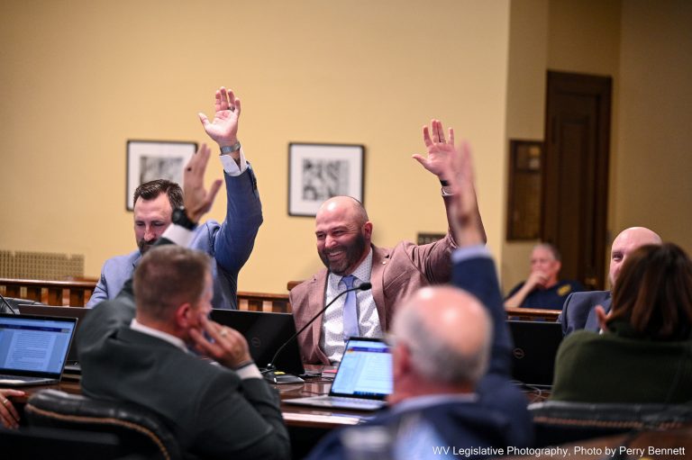 House Gov Org Advances Legislative Auditor Bill