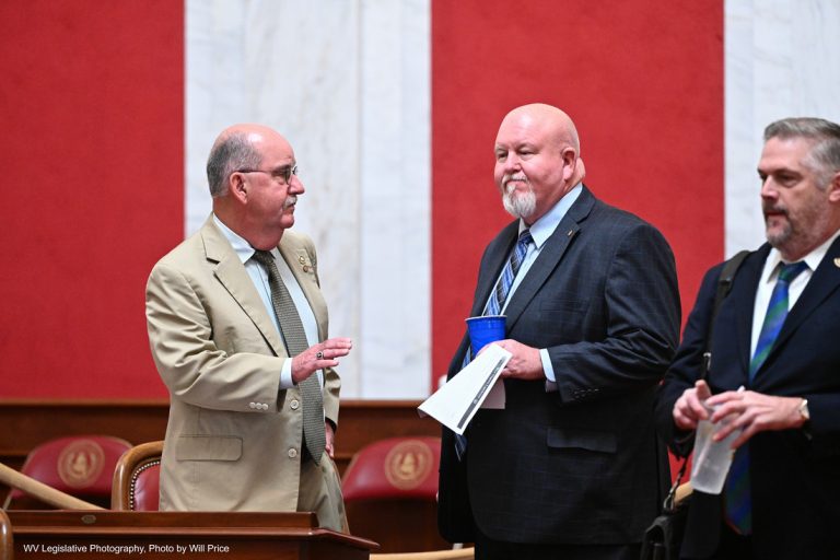 Interim Report: Joint Judiciary Committee