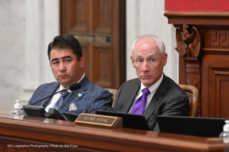Interim Report: Committee on Insurance and PEIA