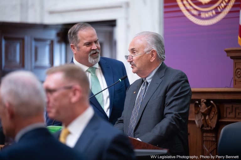 Interim Report: Joint Finance Committee