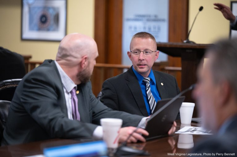 Two Bills Relating to Foster Care Head to Committee Markup