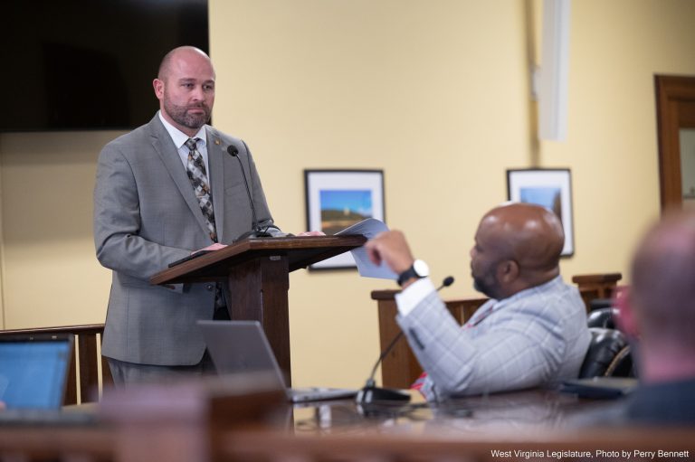 Foster Care Bills Discussed in Health and Human Resources