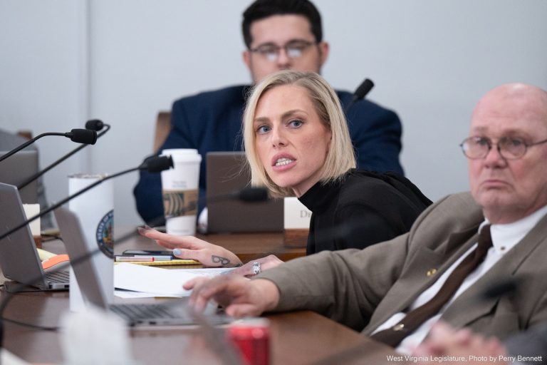 Energy & Public Works Advances One Bill and 31 Resolutions