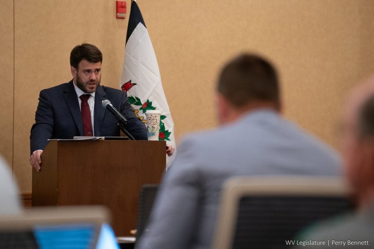 Interim Report: Joint Committee on Finance