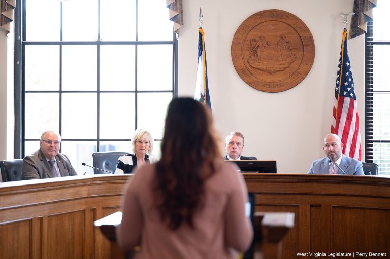 Interim Report: Joint Committee on Children and Families