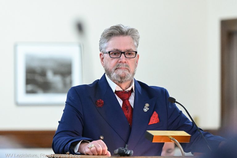 Interim Report: Committee on Corrections and Public Safety