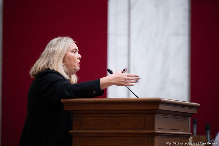 Interim Report: Joint Committee on Finance