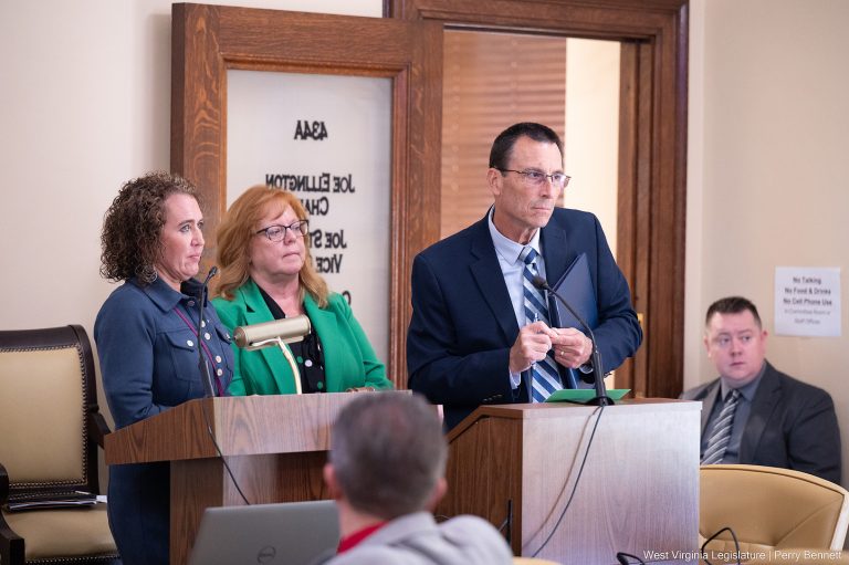 Interim Report: Educational Choice Subcommittee