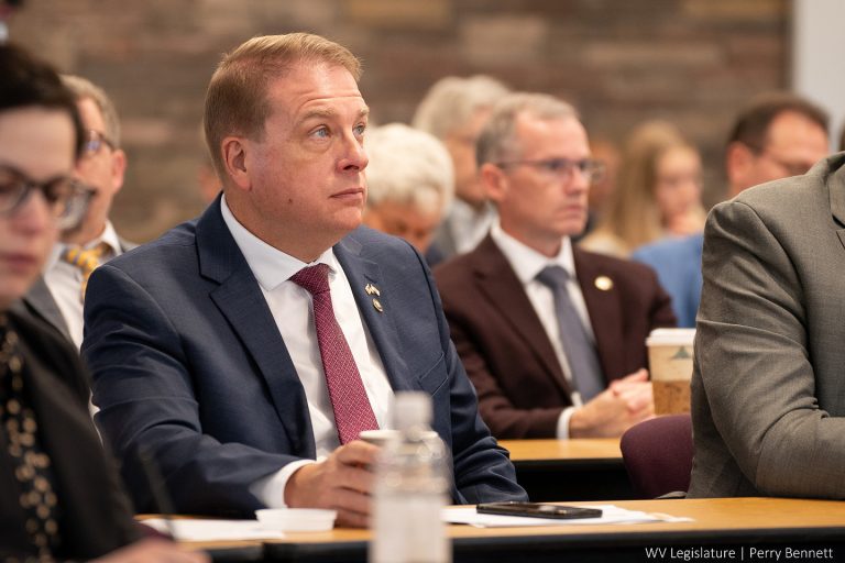 Interim Report: Joint Judiciary Committee & Joint Economic Development