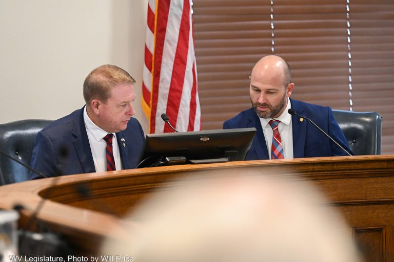 Interim Report: Joint Committee on Children and Families