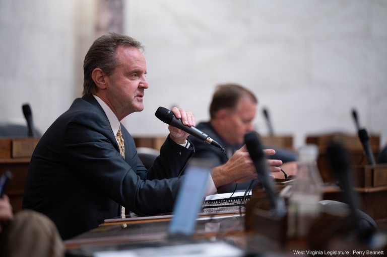 Interim Report: Joint Committee on Technology and Infrastructure