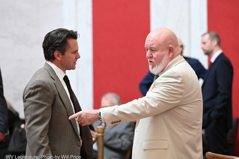 Interim Report: Joint Committee on Judiciary