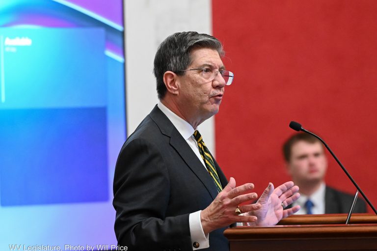 Interim Report: Joint Committee on Education