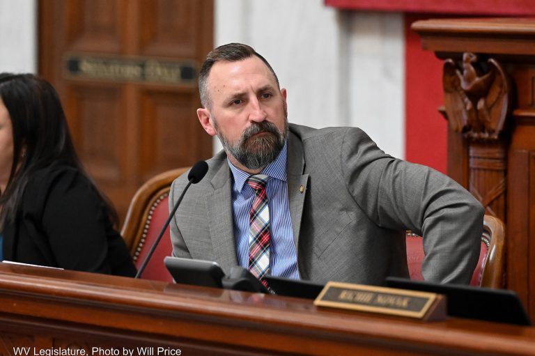 Interim Report: Joint Committee on Health