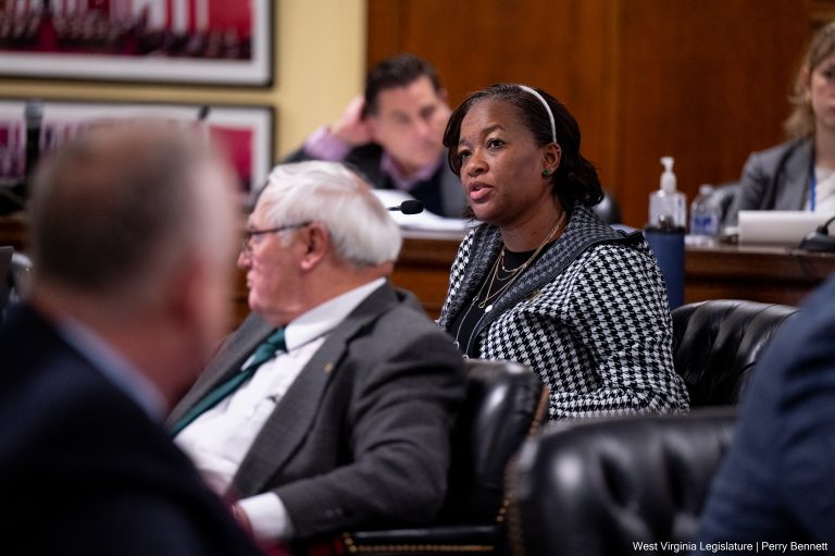 House Health and Human Resources engage in debate over three bills