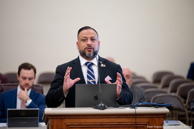 Interim Report: Select Committee on Veterans’ Affairs