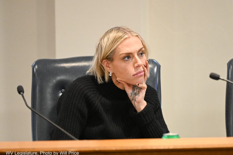 Interim Report: Joint Committee on Children and Families