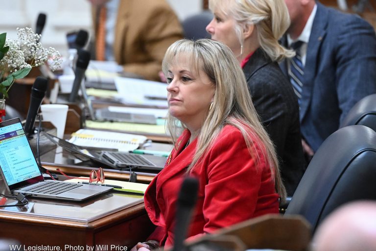 House Advances Data Center Rule Bill and 18-20 Concealed Carry