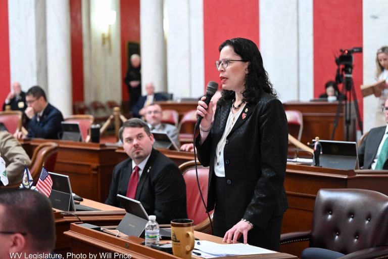 ICE Bill Passes Senate, Moves to House of Delegates