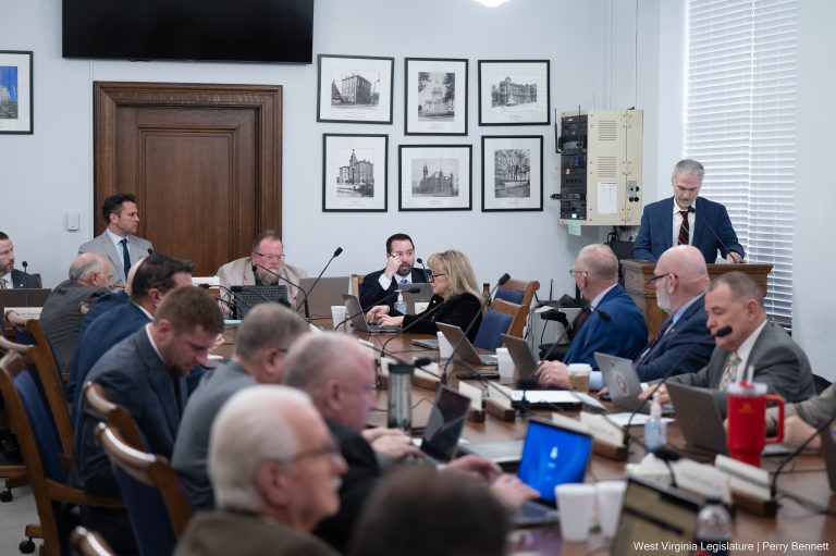 House Judiciary Hears Child Welfare Pilot Bill