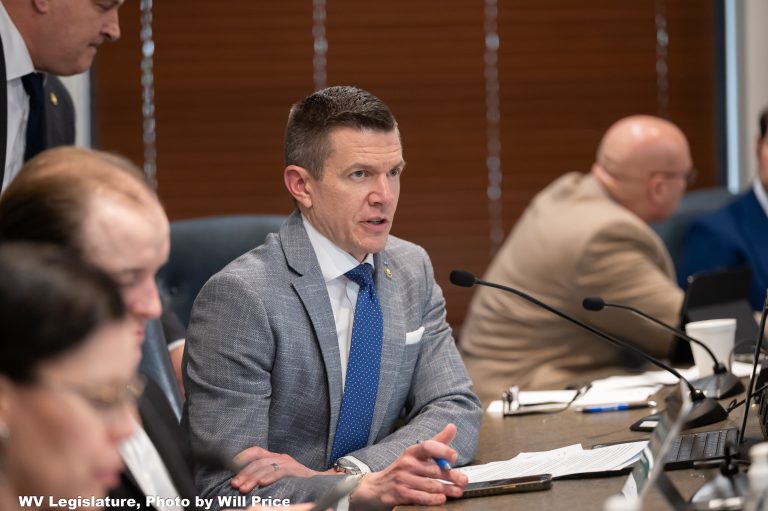 Age Verification for Online Material and Cold Case Bills Advance Senate Judiciary